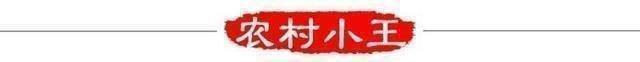 农村养老保险怎么算(农村养老保险金怎么算)
