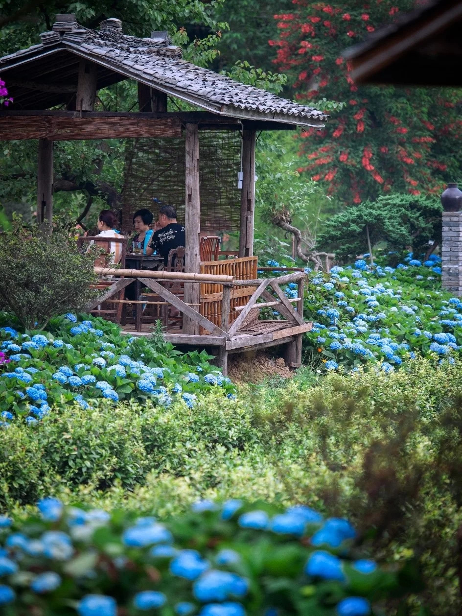 成都周边亲子游踏青地！打卡治愈系“世外桃源”，还有上百亩花海