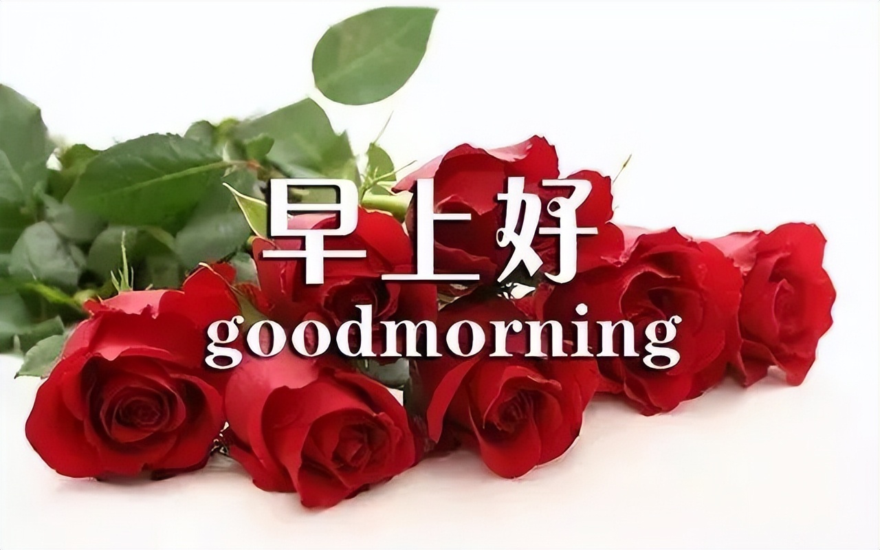 早上好动态祝福 微信最美早上好图片 送你一朵长寿花，祝你长寿不老图片