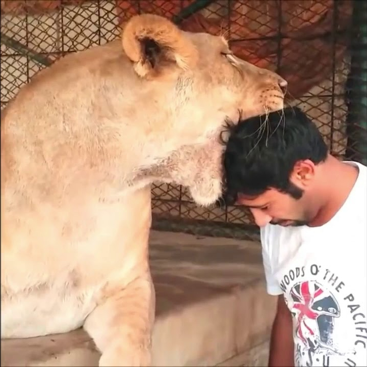 上天入海的有钱人：越富有，越爱冒险？