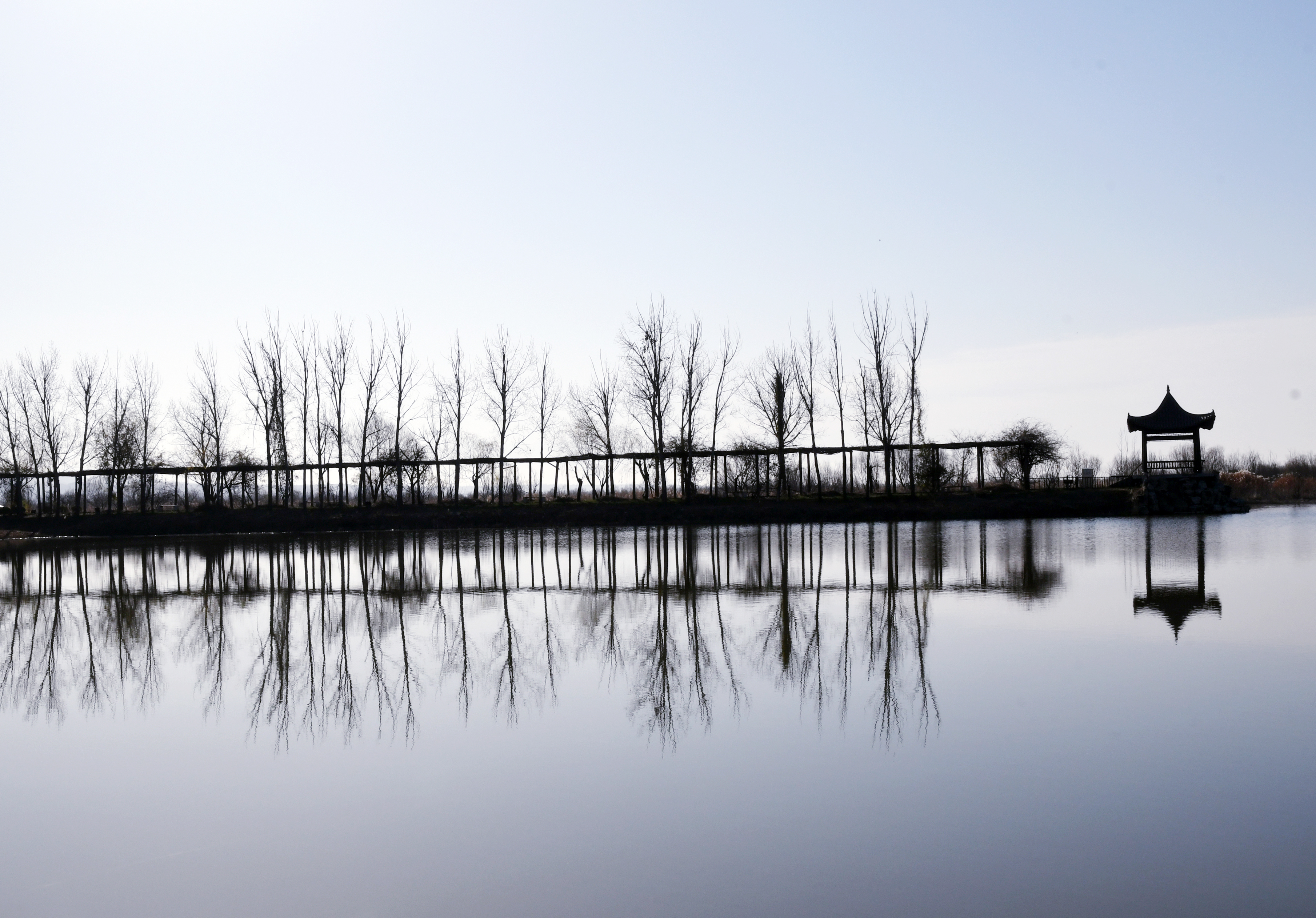 合陽洽川風(fēng)景：天水一色