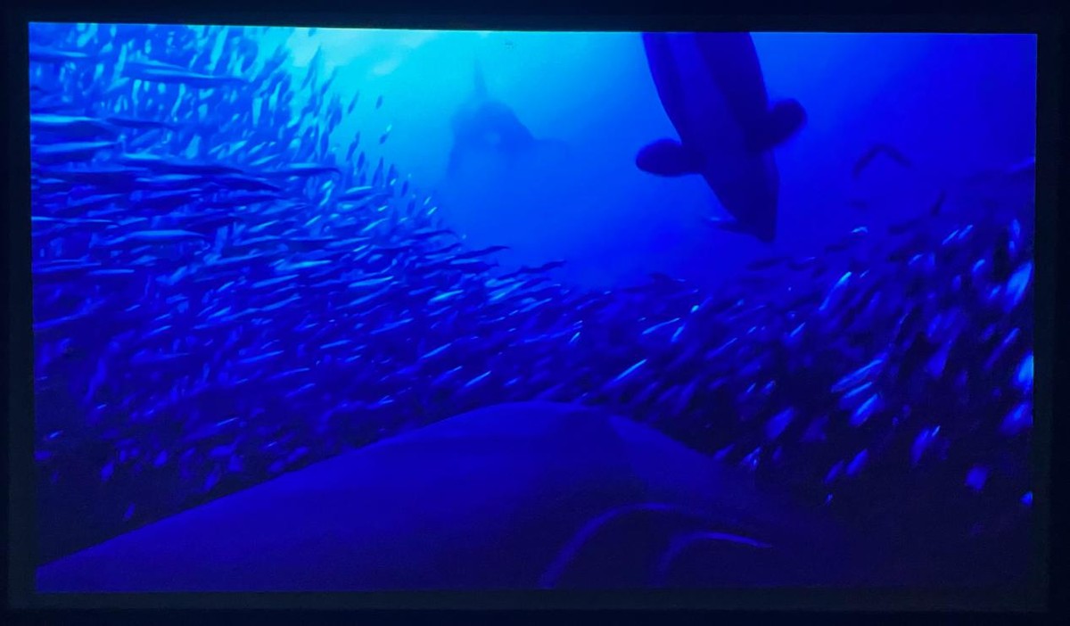 萌娃最爱，千元价格，真1080P泰捷WEBOX T1S投影仪体验