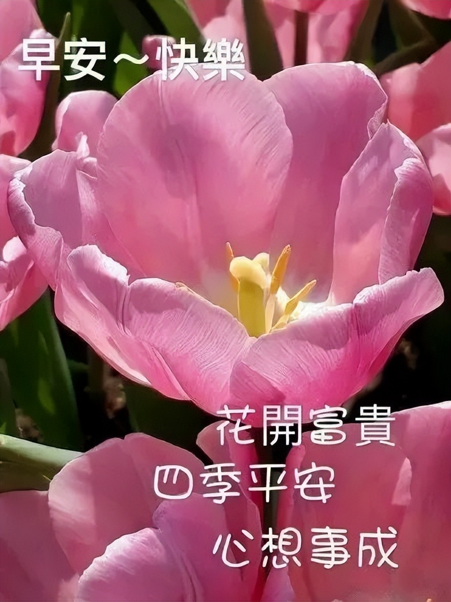 星期四早上好表情包，平安幸福，健康快乐，花开富贵，四季平安图片