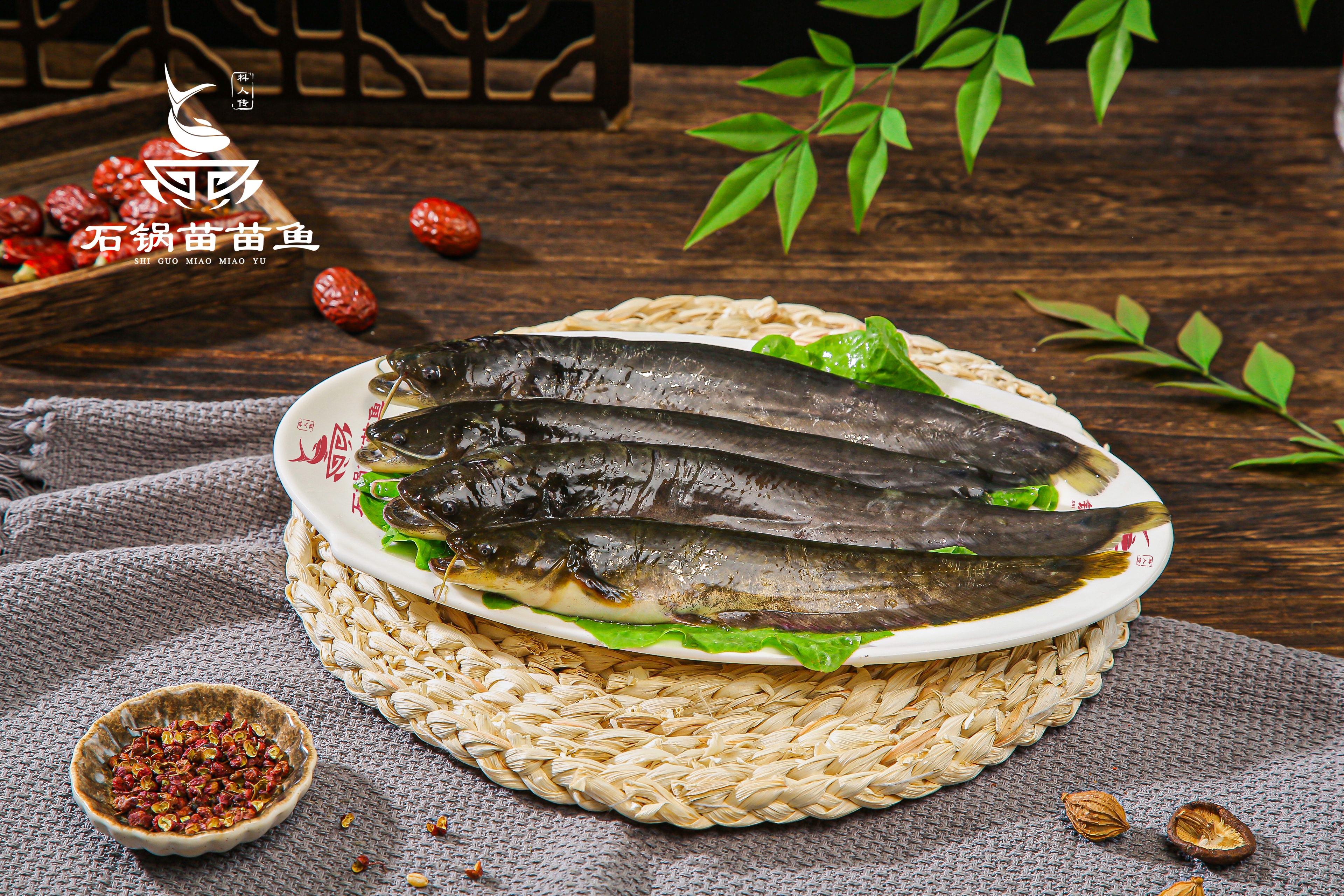 思旭石锅苗苗鱼:加盟火锅,新手小白的福音