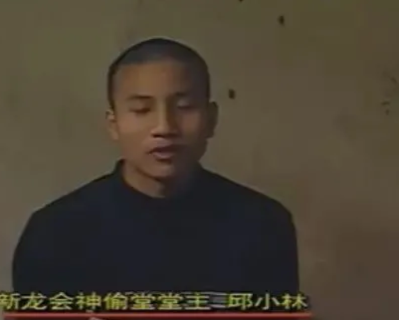 2001年四川5人成立新龙会，3个月发展近百成员，设神偷堂专偷农民