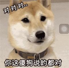 沙雕表情包搞笑gif