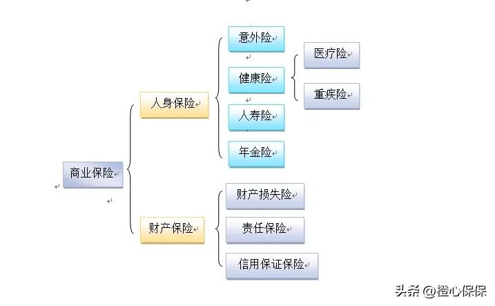 看完这个分类图，休想再骗我买保险了