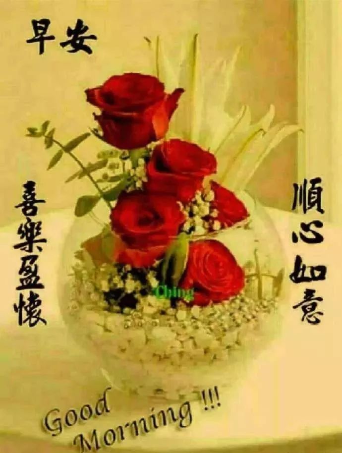 温馨早安问候语表情包，早上好祝福语短信，平安喜乐，大家早上好图片