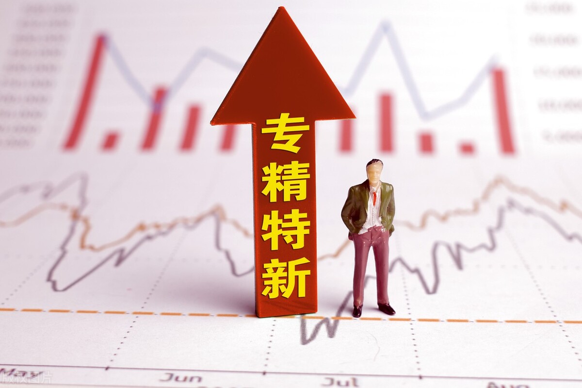 公司注册哪家公司好（中国专精特新领先的企业）