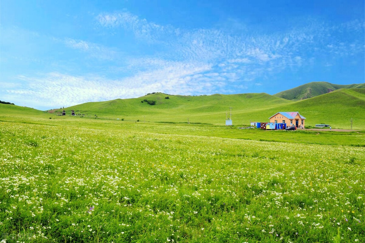 其实想看绿草如茵的草原不用跑那么远,广东也有大草原,南方的草原,虽