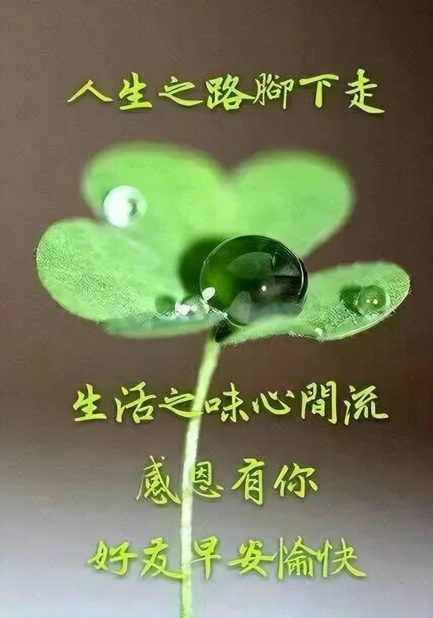 周三早上好表情包更新，吉祥好运带给你，认识你真好，感恩相遇图片