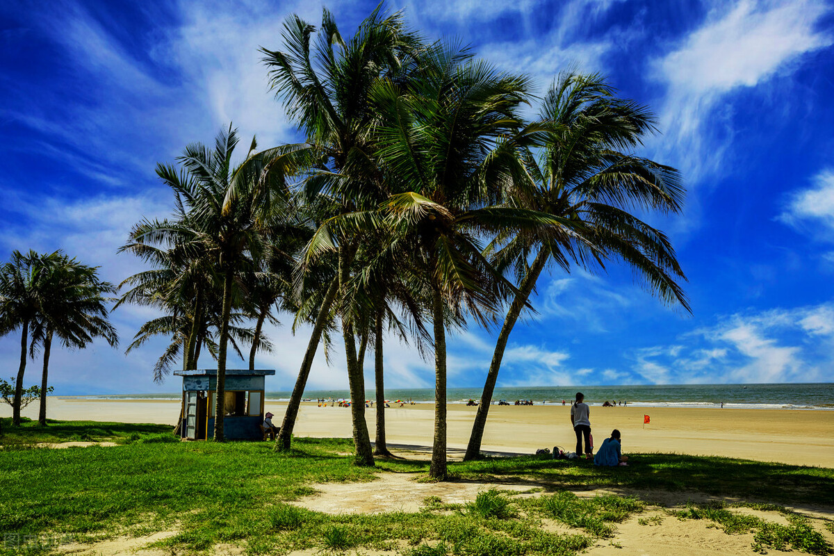 传销窝里的奇闻异事