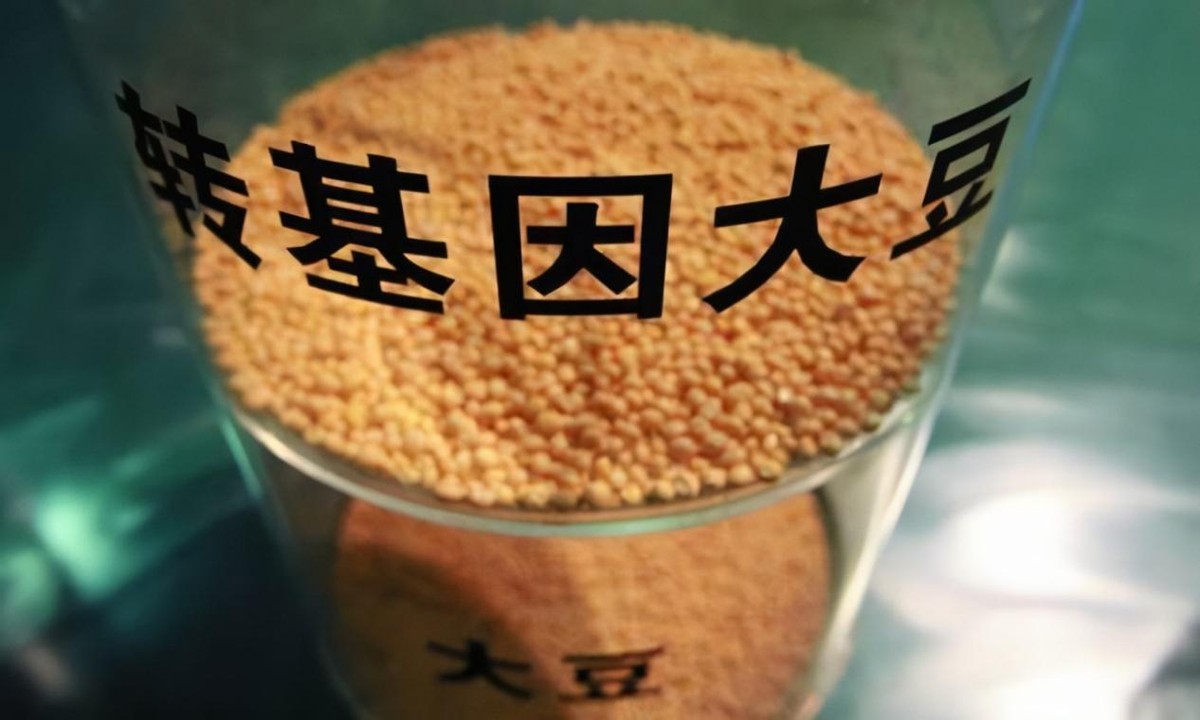 印度粮食产量仅中国一半，百万儿童饿死，为何还能成粮食出口大国