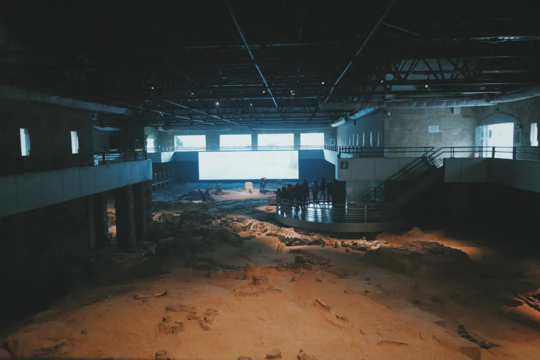 最近超火的盐帮菜之乡让我大开眼界，奇怪的知识又增加了