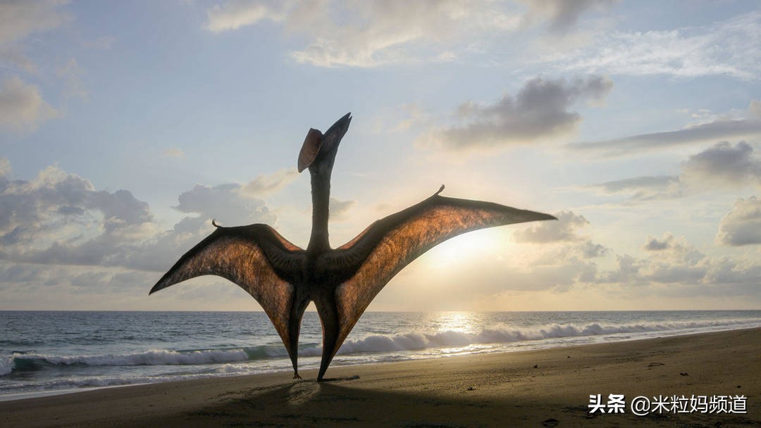 重磅更新！比《侏罗纪世界》还好看的恐龙纪录片终于上映了