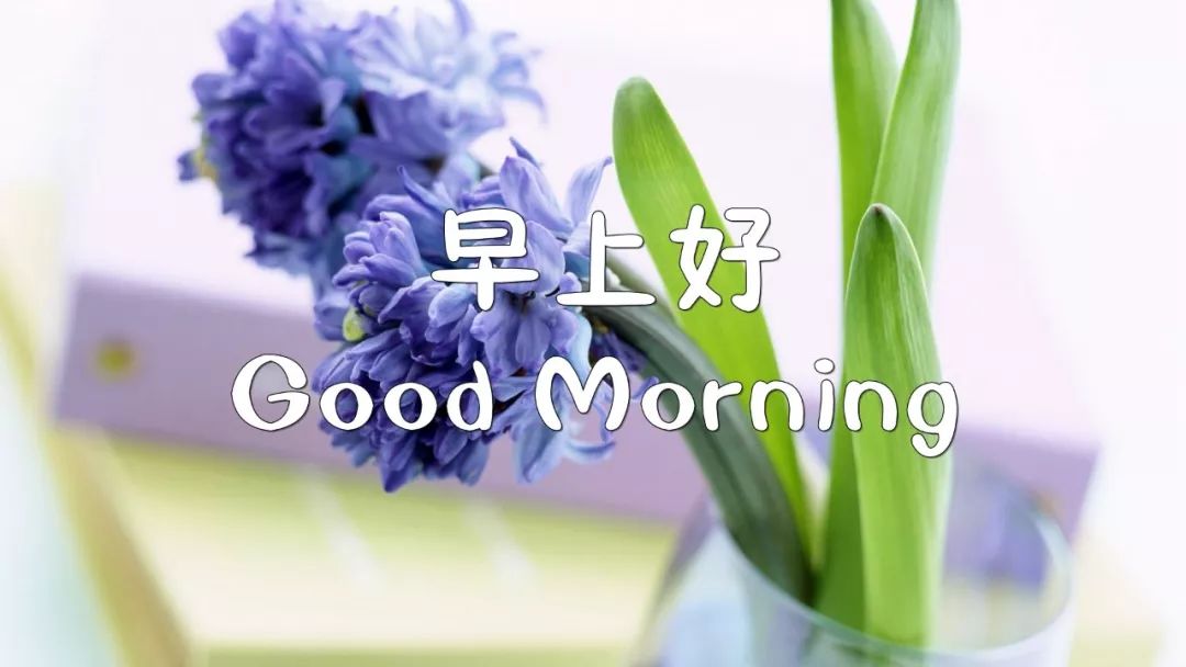 周末早上好表情包，顺心顺意，健康如意，天天幸福，天天开心图片