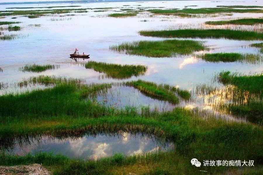 贾九峰｜咏衡水湖十二景