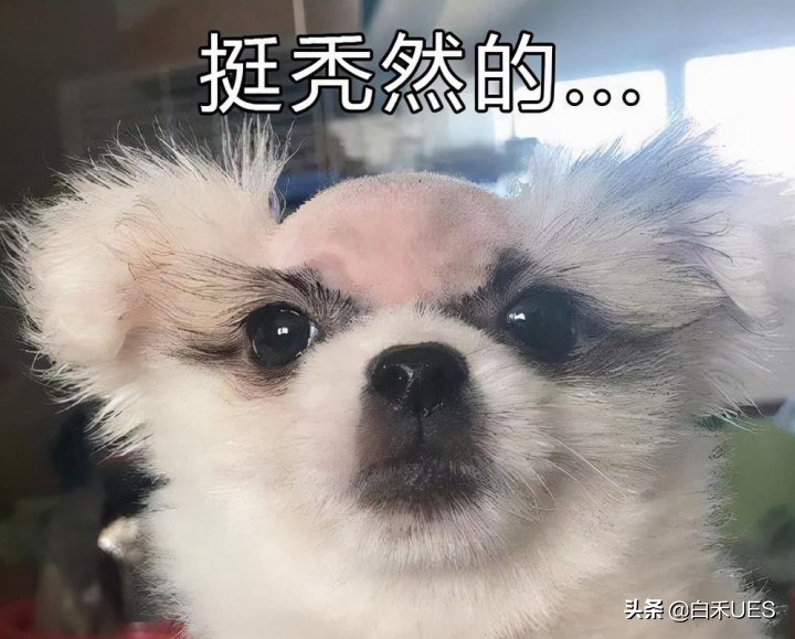 2021年15个网络流行语,你知道几个?