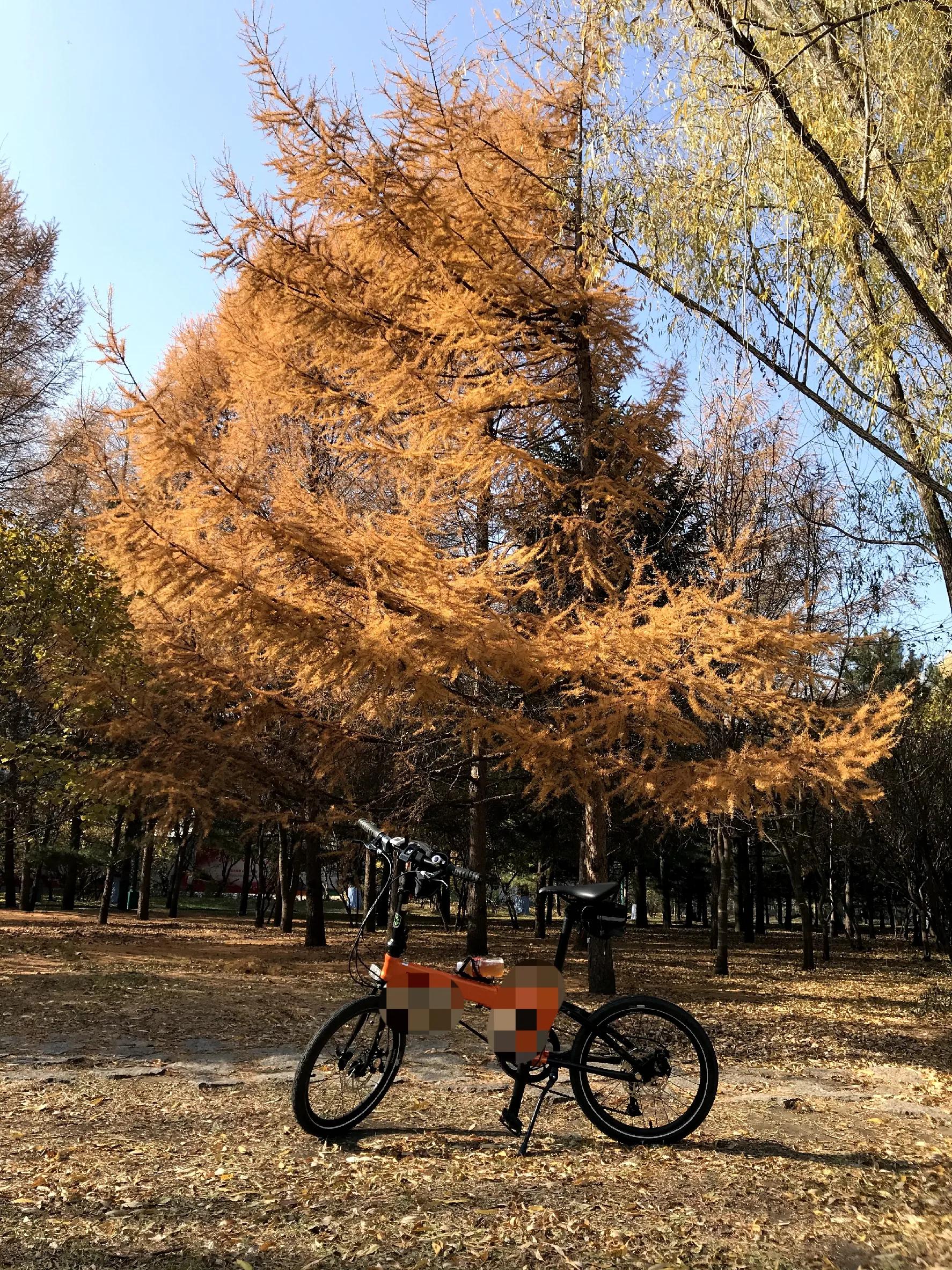 结婚二十年送老公什么礼物（结婚十年老公从没送过礼物）