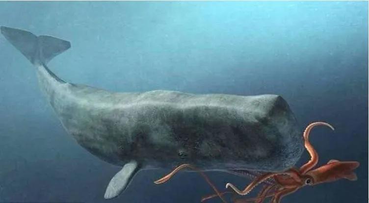 人类的极限，深海10000米，有多可怕？