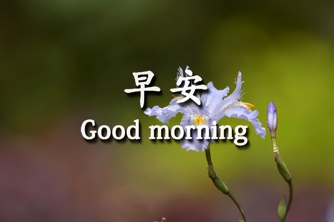 漂亮周日早上好祝福图片，早上好祝福语句，愿你每天好心情图片