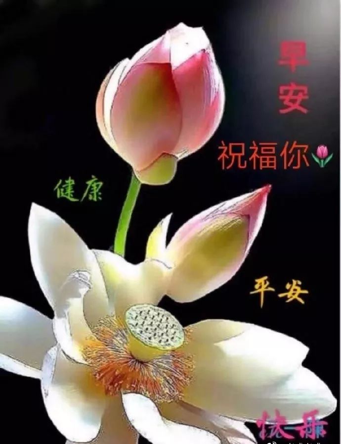 清晨微信早安美好祝福，祝你早安顺心，万事大吉，心情漂亮如花图片