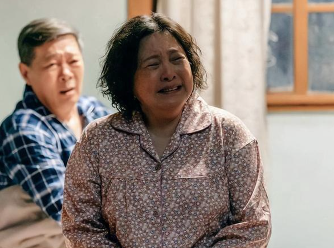 她们是演婆婆的专业户-女演员婆婆专业户 - 114知识网