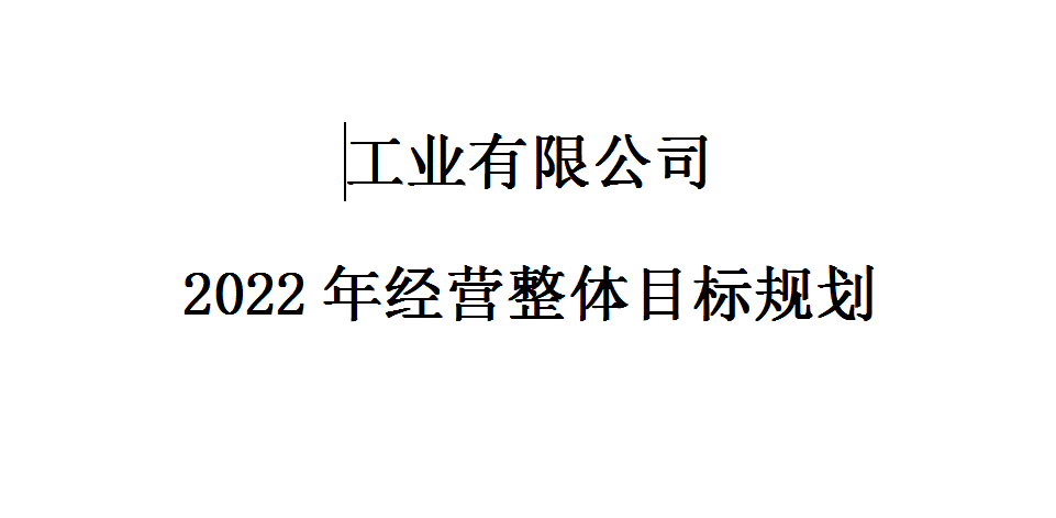 公司2022年经营整体目标规划（个人编写干货模板）