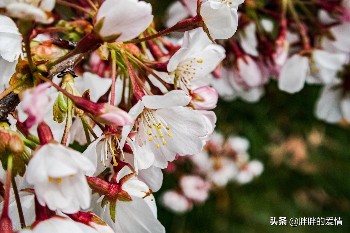 品味生活，完善人性；心中若有真情在，天涯明月处处情