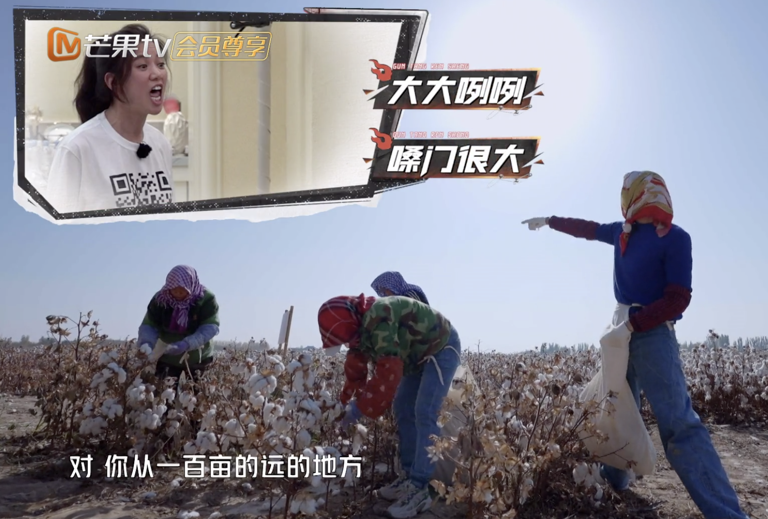 张智霖戴头巾摘棉花被阿姨误认为20多岁，袁咏仪调侃他是狼外婆
