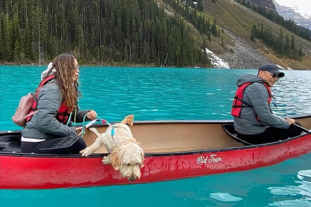 移居国外的香港明星们，有人称是为子女教育，有人是舒养老度晚年