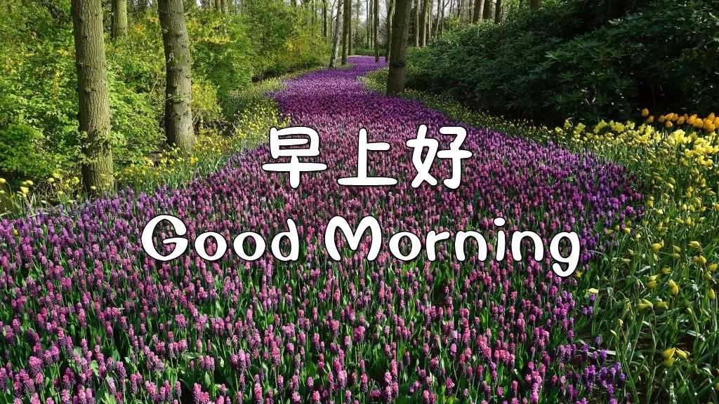 微信早上好漂亮祝福图片 暖心早安问候语简短 祝你平安伴身边图片