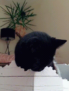 爸，你旁边的叔叔好帅，爸爸：这是你妈，网友当场笑喷了，哈哈哈