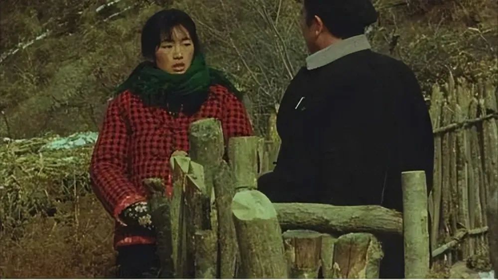 给“农村女人演得最好的8位演员”排个名，闫妮第7，巩俐仅第3