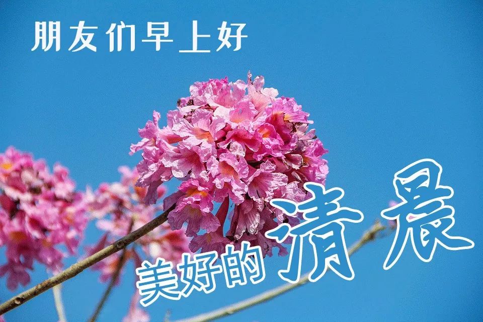 新周更新早上好表情包 ,吉祥如意,好运常在,天天开心,好运伴你左右图片