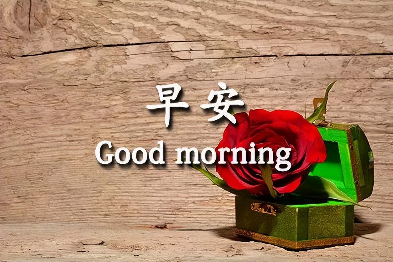 早上好，真心朋友，祝你早安开心、下午舒心、晚上欢心图片