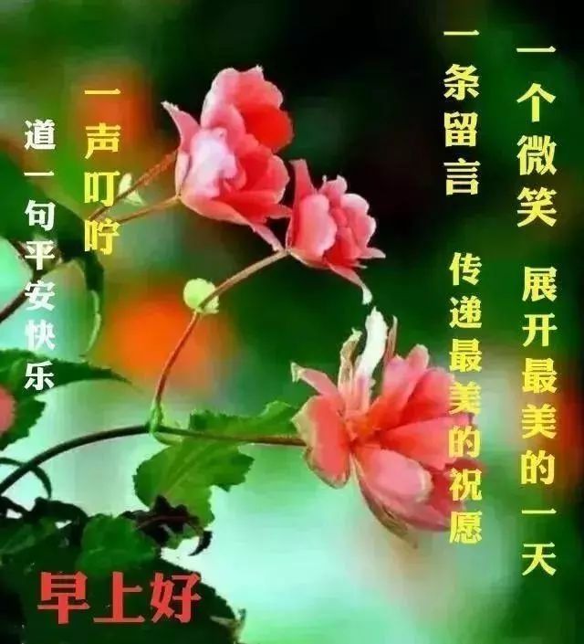 新的一天早上好图片 ,美好时光，生活愉快 祝大家身体健康,一帆风顺图片