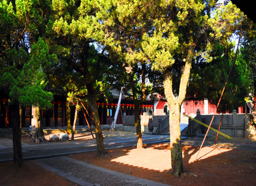 浙江旅游：感受南孔圣地衢州有礼的城市魅力（图）