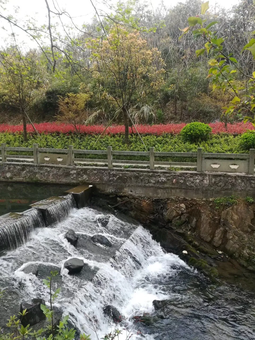双灵村位于杭州西湖区双浦镇,是遐迩闻名的生态茶乡,村子东临灵山风景