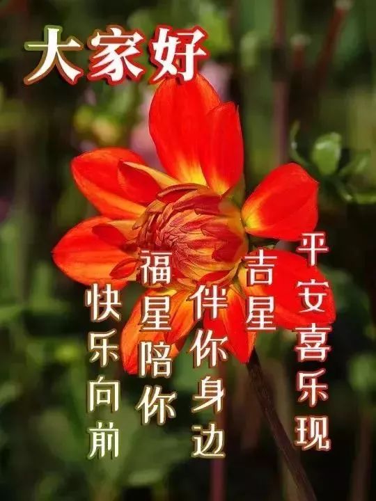 2022最新早上好短信温馨祝福语录集锦 笑着去面对，不要去埋怨图片