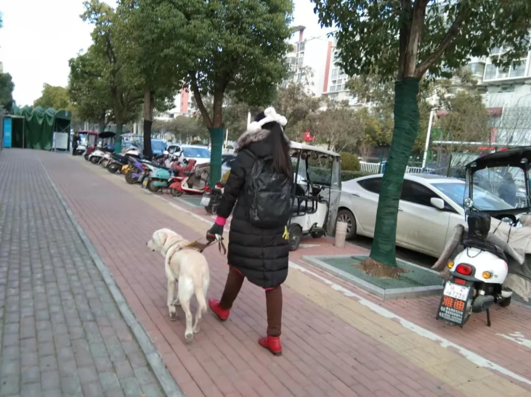 盲人只能做按摩?她不认命,却被取消考研资格