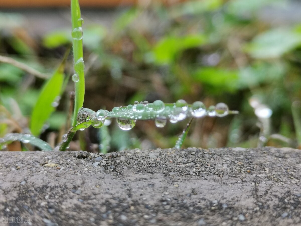 关于雨的句子