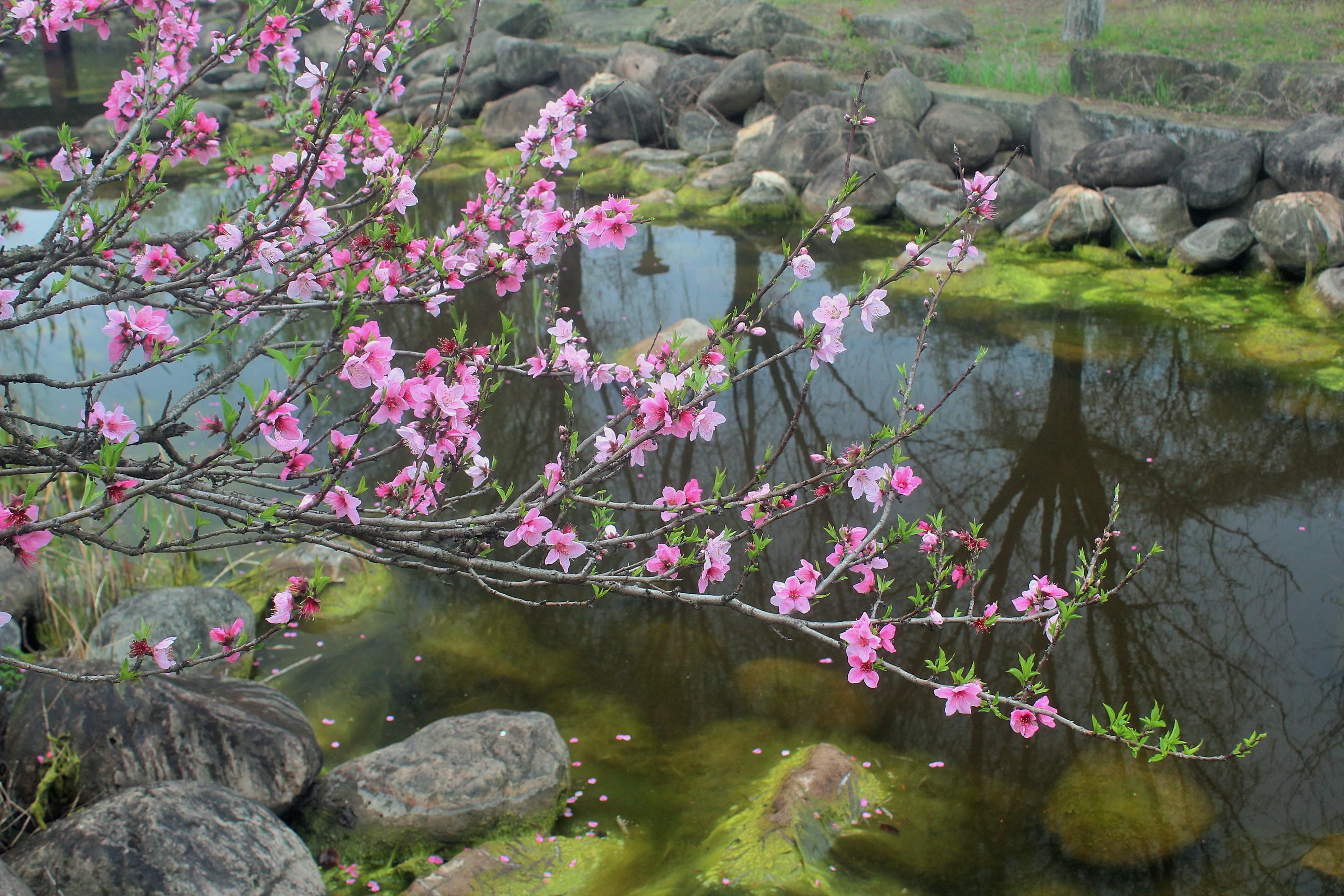 印資企業(yè)初印象