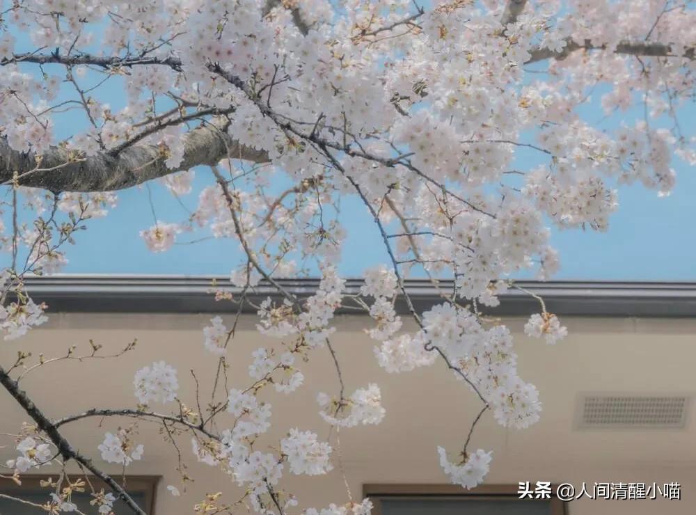 那些三观不正，但是让人感到很舒服的话