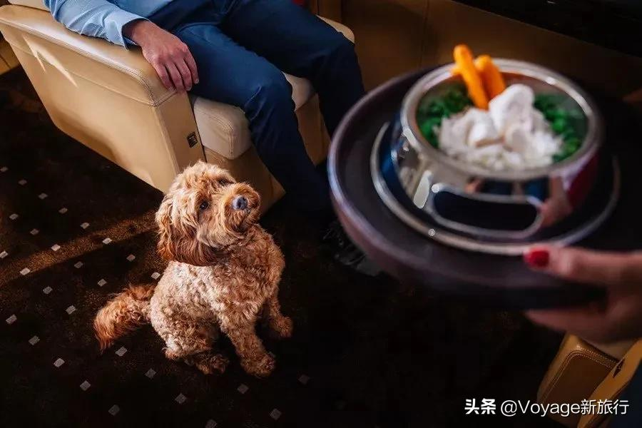 挂满礼物的圣诞树（()的圣诞树填空）