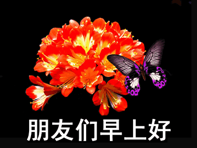 微信早晨好表情包 早上好图片大全 祝你今日最温馨、幸福快乐每一分图片