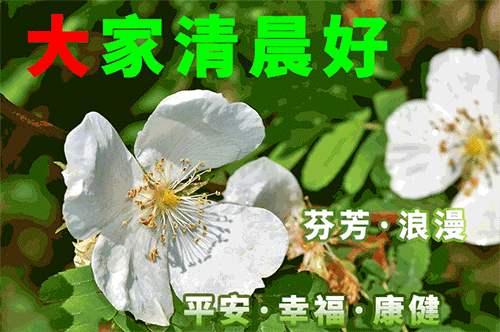 新周早上好表情图片，最新早上好每天祝福语，心之所愿、无所不成图片