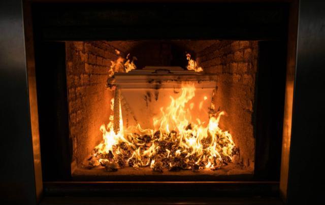 火葬违背自然规律?动物死后都会生态循环,为何人类要选择火化? 第5张