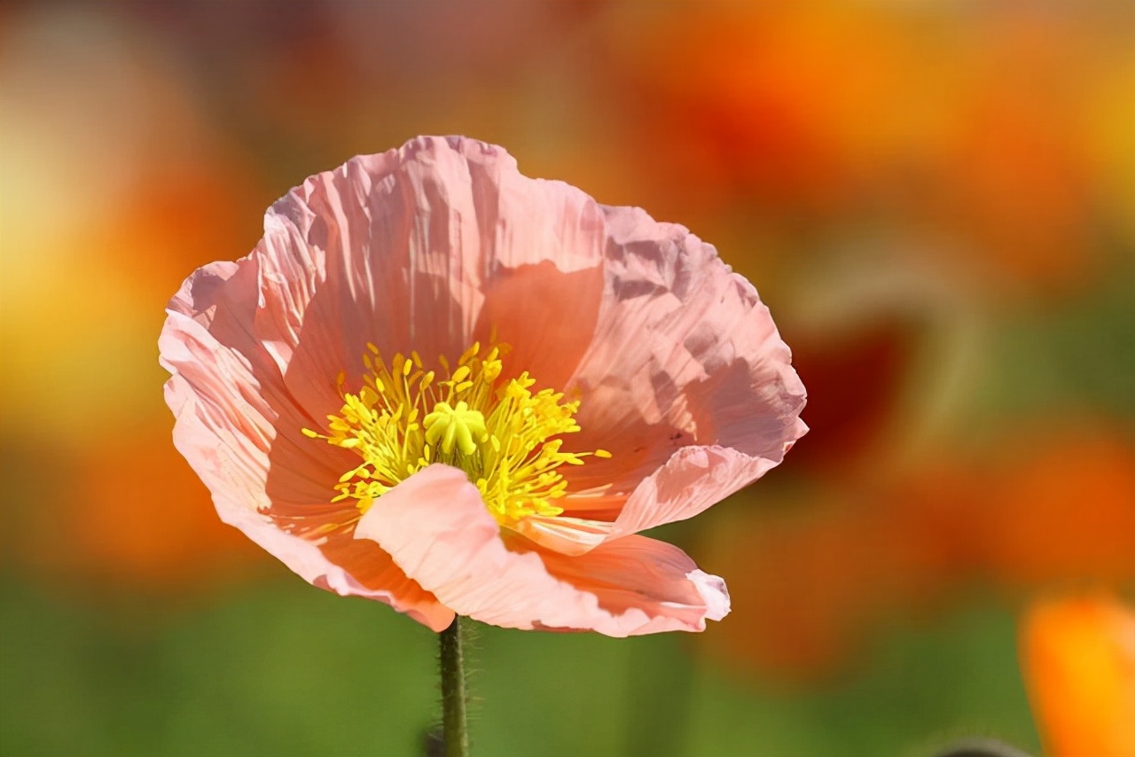 别着急，真正有缘分的两个人，早晚会相遇