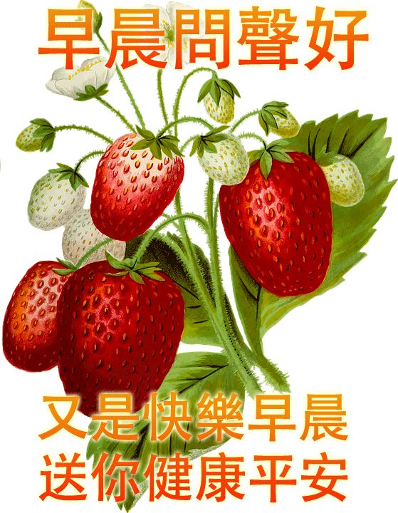 早上好图片大全 早上好动态图片 笑脸如花心情艳，甜蜜如雨软绵绵图片